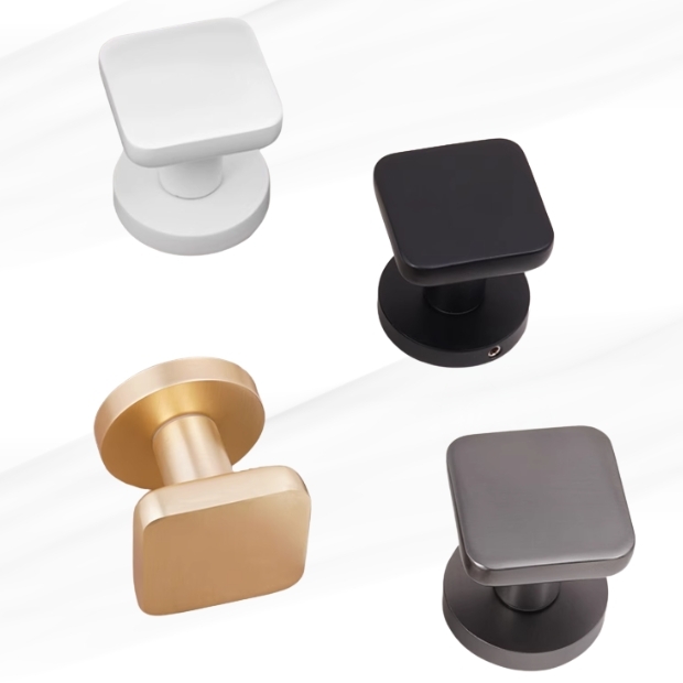 DL-ZA24-53~56 LOGO.jpg