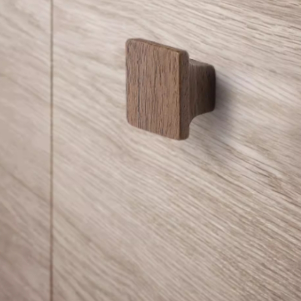 SH-W S2-WW32 LOGO.jpg